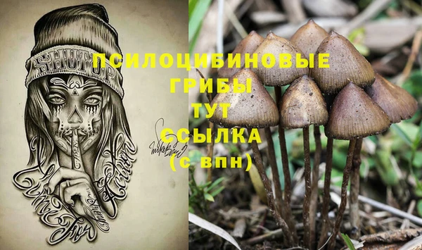 spice Козловка
