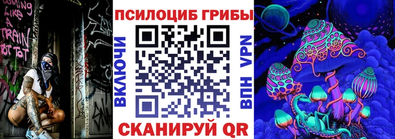 Галлюциногенные грибы Psilocybe  где купить наркоту  shop состав  Оленегорск 